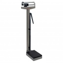 Detecto Stainless Steel Weigh Beam Dual Capacity Scale