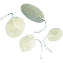 Mettler - Electrodes V Trodes