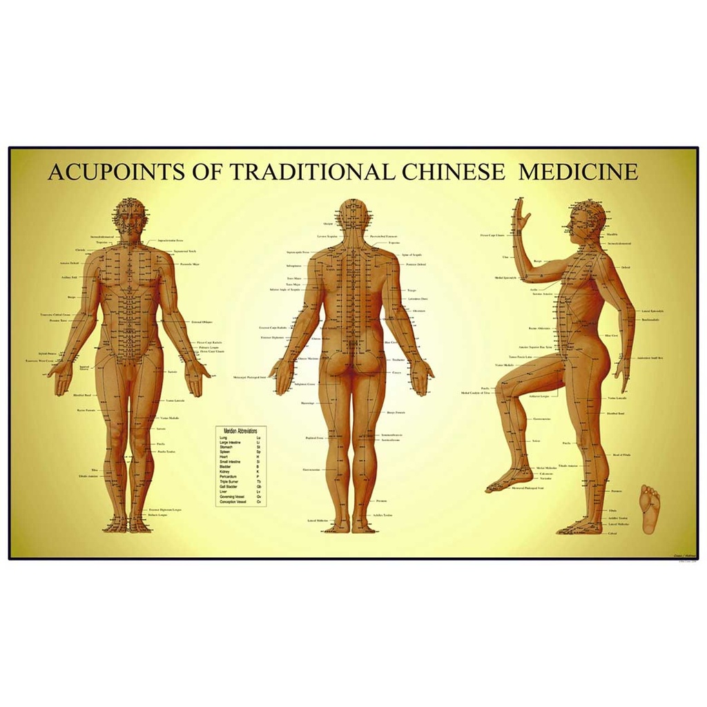  Acupoints Of Traditional Chinese Medicine - Male 24' x 36'