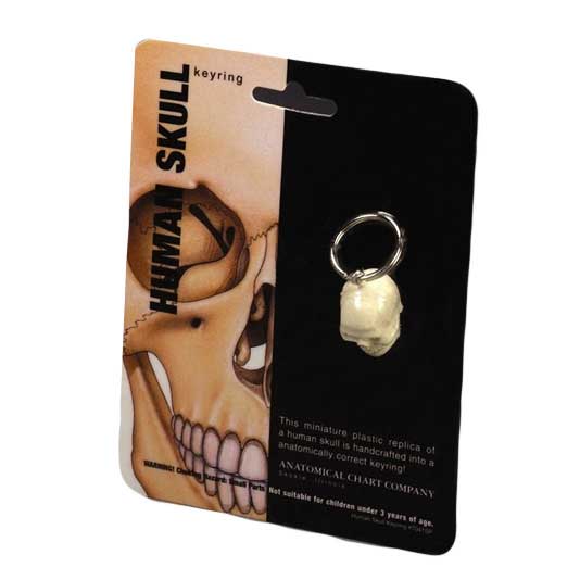  Anatomical Human Skull Key Ring