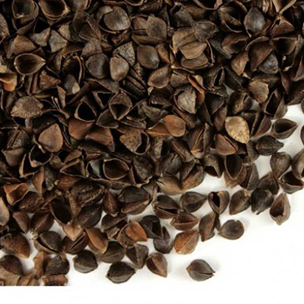  Bucky 1 lb. Buckwheat Hulls Brown